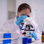 Experimental research using tianeptine compounds.