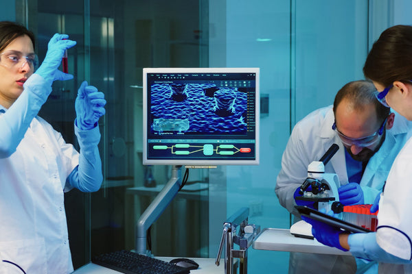 Researchers studying synaptic function using tianeptine in laboratory