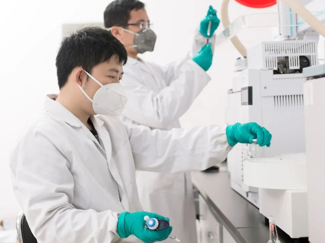 Researcher studying tianeptine in laboratory setting