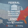 Federal and State Legal Split on Tianeptine's Legal Status