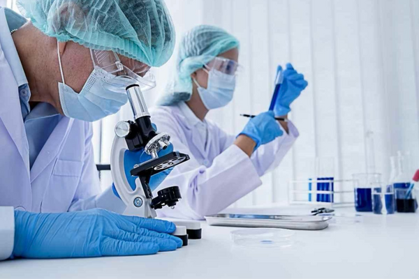 The Importance Of Certificate Of Analysis (COA) In Research Purchases