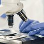 a scientist researching a compound material under a microscope