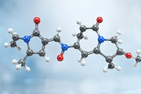 3D molecular model illustrating the chemical structure of pramiracetam