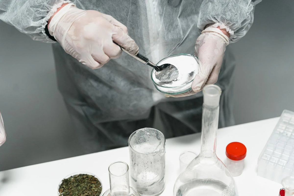 Phenibut powder research