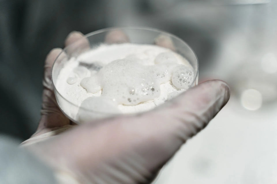 Research on Phenibut powder
