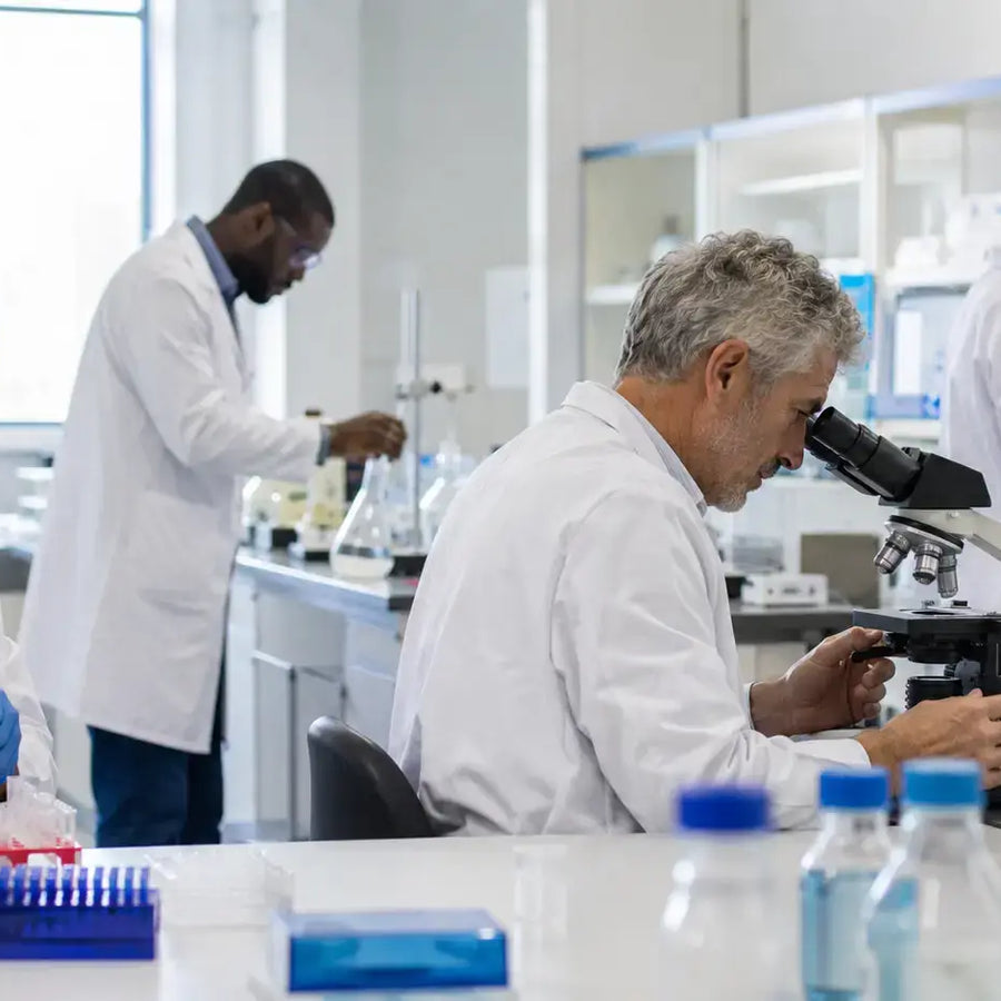 Laboratory team researching Phenibut samples
