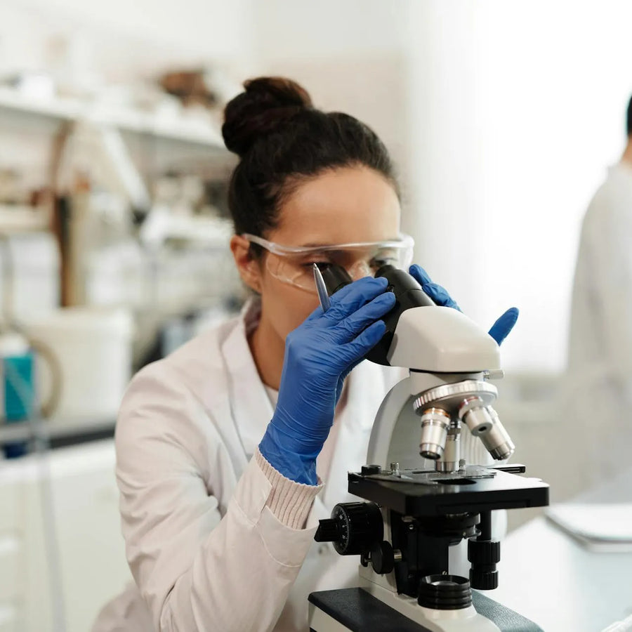 researcher using microscope for tianeptine research