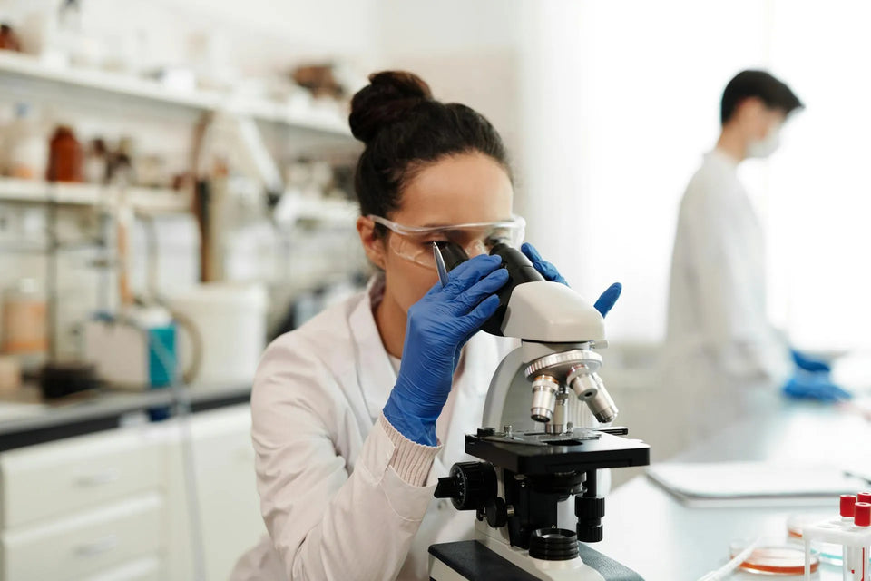 researcher using microscope for tianeptine research