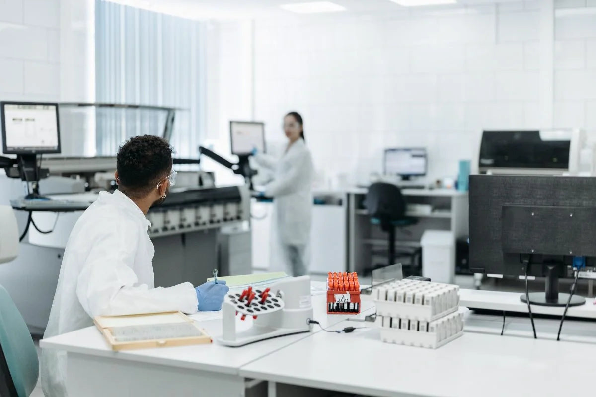 Two researchers working in lab