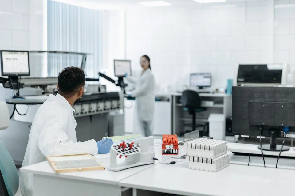 Two researchers working in lab